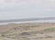 AIDAmar 29.04.2025 08:12