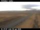 Víðidalur 29.04.2025 08:12