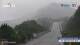 Tai Shan 24.05.2025 08:33
