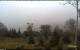 Parrsboro 14.07.2025 08:06
