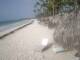 Punta Cana 23.05.2025 08:13