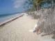 Punta Cana 14.05.2025 08:13