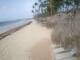 Punta Cana 08.06.2025 08:13