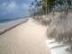 Punta Cana 09.06.2025 08:13