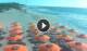 Otranto 11.07.2025 08:13
