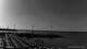 Andora 03.07.2025 08:13