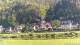 Bad Schandau 30.04.2025 08:48