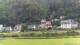 Bad Schandau 09.06.2025 08:48