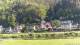 Bad Schandau 29.04.2025 08:48