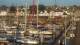 La Trinité-sur-Mer 14.06.2025 08:14