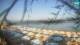 San Vincenzo 01.07.2025 08:14