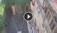Verona 06.07.2025 08:16