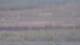 Les Landes-Genusson 15.06.2025 08:16