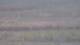 Les Landes-Genusson 09.06.2025 08:16