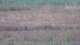 Les Landes-Genusson 05.07.2025 08:16
