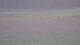Les Landes-Genusson 15.06.2025 08:16