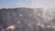 Les Landes-Genusson 09.07.2025 08:16