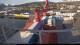 Malik Arctica 09.06.2025 08:16