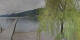 Annenheim 09.06.2025 08:59