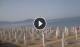 Paestum 04.06.2025 08:17