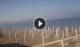 Paestum 30.04.2025 08:17