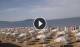 Paestum 13.07.2025 08:25