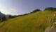 Sonnleitn 03.07.2025 08:04