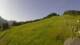 Sonnleitn 14.06.2025 08:04