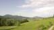 Wertach 14.06.2025 08:08