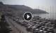 Kalimnos 09.06.2025 08:17