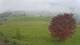 Abtenau 22.04.2025 08:17