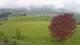Abtenau 23.03.2025 08:17