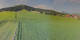 Pillersee 14.06.2025 08:20