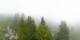 Arosa 09.06.2025 08:03