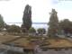 Hagnau am Bodensee 15.06.2025 08:48