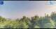 Gorga 09.06.2025 08:18
