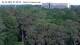 Jurmala 15.06.2025 08:18