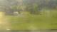 Cordon 30.04.2025 08:19