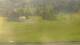 Cordon 29.04.2025 08:19