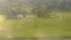 Cordon 30.04.2025 08:19