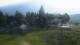 Cordon 14.06.2025 08:18