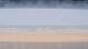 Henne Strand 03.06.2025 08:15