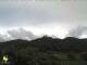 Neustadt-Hambach 08.07.2025 08:45