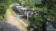 Teufen 09.06.2025 08:20