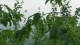 Melle 20.06.2026 08:27