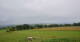 Grebenhain 11.07.2025 08:20