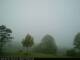 Asheville, North Carolina 29.04.2025 08:20