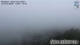 Wildalpen 12.07.2025 08:07