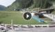 Asiago 09.06.2025 08:20