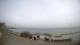 Veulettes-sur-Mer 09.06.2025 08:04